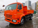 Самосвал с задней разгрузкой 43255-8010-69 (4x2)